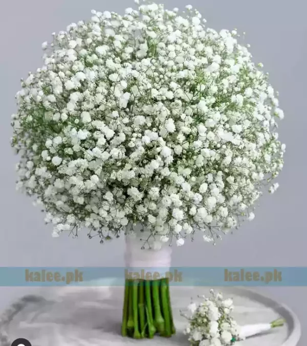 Baby Bud Bridal Bouquet